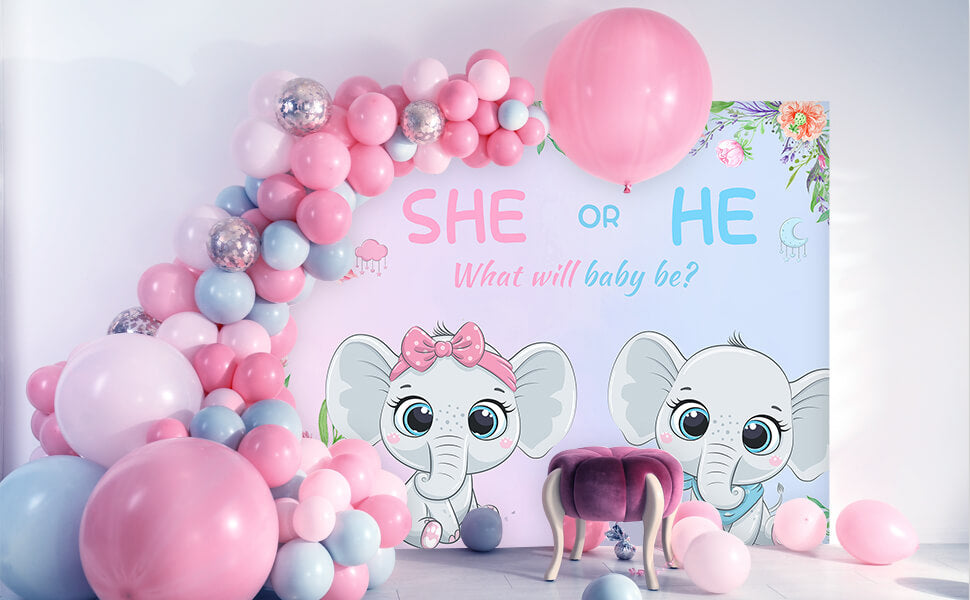 She or He Gender Reveal Backdrop