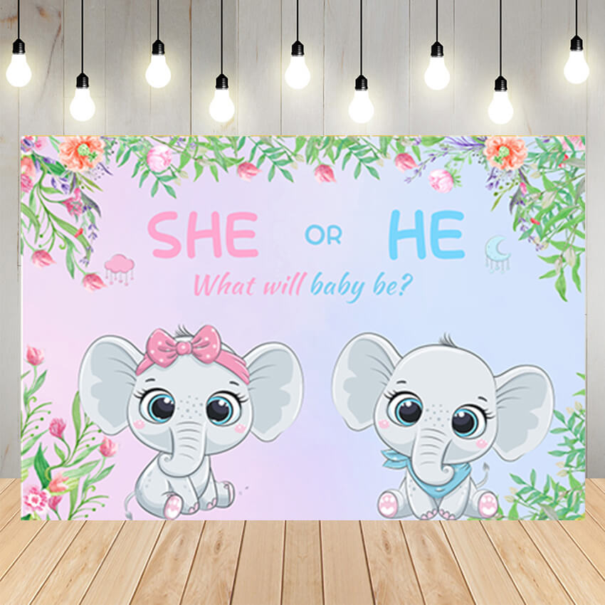 She or He Gender Reveal Backdrop