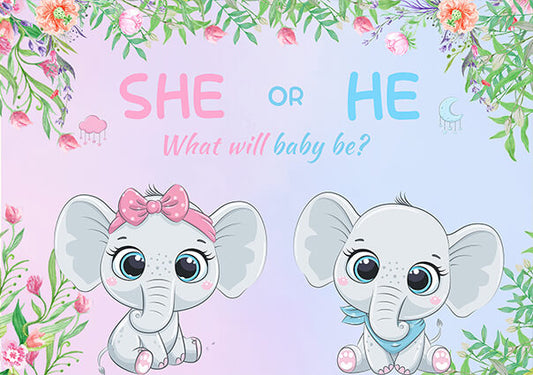 She or He Gender Reveal Backdrop