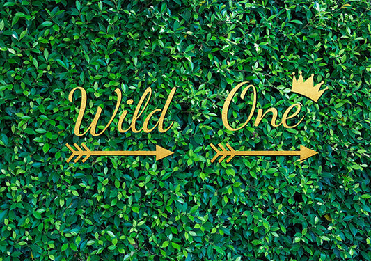 Wild One Grass Wall 1st Birthday Backdrop